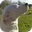 luleyleo